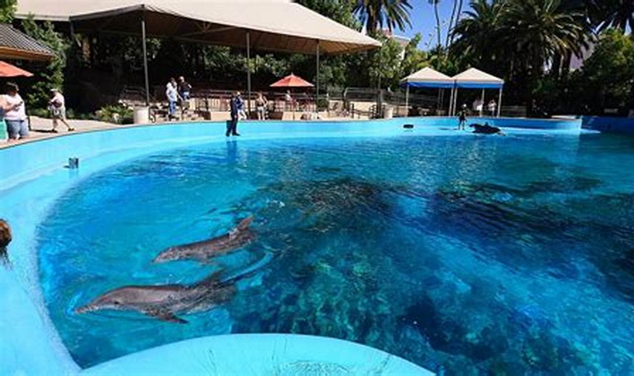 Discover a Secret Garden & Dolphin Habitat Oasis Today! | The Ultimate Gardening Guide: Grow a Thriving Garden Year-Round