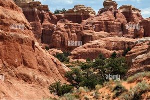 Explore Rock Garden Trailhead Hikes & More! | The Ultimate Gardening Guide: Grow a Thriving Garden Year-Round