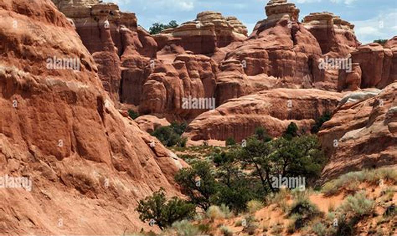 Explore Rock Garden Trailhead Hikes & More! | The Ultimate Gardening Guide: Grow a Thriving Garden Year-Round