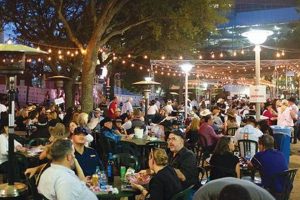 Your Guide to Houston Rodeo Wine Garden Fun! | The Ultimate Gardening Guide: Grow a Thriving Garden Year-Round