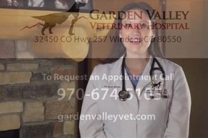 Trusted Garden Valley Vet: Care & Wellness | The Ultimate Gardening Guide: Grow a Thriving Garden Year-Round