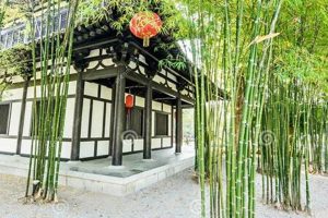 Grow Your Own: Chinese Garden Bamboo Wonders | The Ultimate Gardening Guide: Grow a Thriving Garden Year-Round