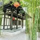 Grow Your Own: Chinese Garden Bamboo Wonders | The Ultimate Gardening Guide: Grow a Thriving Garden Year-Round