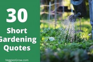 Tiny Garden Quotes: Short & Sweet The Ultimate Gardening Guide: Grow a Thriving Garden Year-Round Tiny Garden Quotes: Short & Sweet | The Ultimate Gardening Guide: Grow a Thriving Garden Year-Round