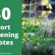 Tiny Garden Quotes: Short & Sweet | The Ultimate Gardening Guide: Grow a Thriving Garden Year-Round