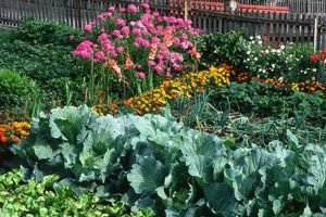 Best Flowers for Vegetable Garden + Tips & Benefits! The Ultimate Gardening Guide: Grow a Thriving Garden Year-Round Best Flowers for Vegetable Garden + Tips & Benefits! | The Ultimate Gardening Guide: Grow a Thriving Garden Year-Round