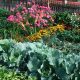 Best Flowers for Vegetable Garden + Tips & Benefits! | The Ultimate Gardening Guide: Grow a Thriving Garden Year-Round