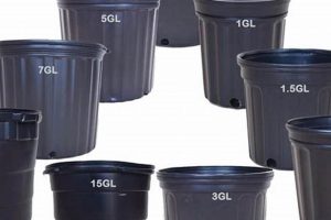 Grow Big: 1 Gallon Garden Pots for Small Spaces The Ultimate Gardening Guide: Grow a Thriving Garden Year-Round Grow Big: 1 Gallon Garden Pots for Small Spaces | The Ultimate Gardening Guide: Grow a Thriving Garden Year-Round