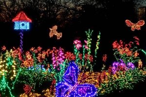 Illuminate Bellevue: Garden Lights & Landscape Brilliance The Ultimate Gardening Guide: Grow a Thriving Garden Year-Round Illuminate Bellevue: Garden Lights & Landscape Brilliance | The Ultimate Gardening Guide: Grow a Thriving Garden Year-Round