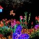 Illuminate Bellevue: Garden Lights & Landscape Brilliance | The Ultimate Gardening Guide: Grow a Thriving Garden Year-Round