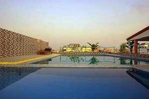 Your Dream Garden: The Garden Place Oasis [Tips] | The Ultimate Gardening Guide: Grow a Thriving Garden Year-Round