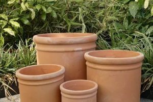 Elevate Your Garden: Large Garden Pots Terracotta Beauty The Ultimate Gardening Guide: Grow a Thriving Garden Year-Round Elevate Your Garden: Large Garden Pots Terracotta Beauty | The Ultimate Gardening Guide: Grow a Thriving Garden Year-Round