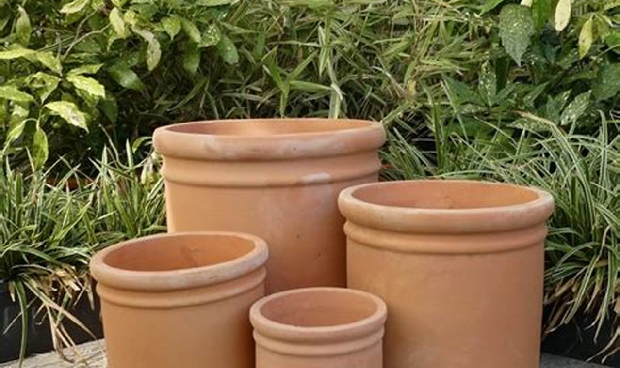 Elevate Your Garden: Large Garden Pots Terracotta Beauty The Ultimate Gardening Guide: Grow a Thriving Garden Year-Round Elevate Your Garden: Large Garden Pots Terracotta Beauty | The Ultimate Gardening Guide: Grow a Thriving Garden Year-Round