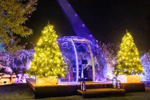 Shine On: Redding Garden of Lights Guide & Tips | The Ultimate Gardening Guide: Grow a Thriving Garden Year-Round