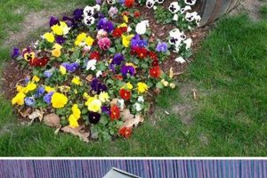 Enhance Your Flower Garden Decor Today! The Ultimate Gardening Guide: Grow a Thriving Garden Year-Round Enhance Your Flower Garden Decor Today! | The Ultimate Gardening Guide: Grow a Thriving Garden Year-Round