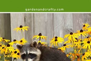 Garden Savior: How to Keep Raccoons Out of *Your* Garden, Guaranteed! The Ultimate Gardening Guide: Grow a Thriving Garden Year-Round Garden Savior: How to Keep Raccoons Out of *Your* Garden, Guaranteed! | The Ultimate Gardening Guide: Grow a Thriving Garden Year-Round