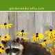 Garden Savior: How to Keep Raccoons Out of *Your* Garden, Guaranteed! | The Ultimate Gardening Guide: Grow a Thriving Garden Year-Round