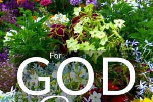 Grow with God: Bible Verse for Garden & Faith The Ultimate Gardening Guide: Grow a Thriving Garden Year-Round Grow with God: Bible Verse for Garden & Faith | The Ultimate Gardening Guide: Grow a Thriving Garden Year-Round