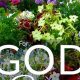 Grow with God: Bible Verse for Garden & Faith | The Ultimate Gardening Guide: Grow a Thriving Garden Year-Round