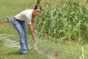 Garden Peace: Electric Fence for Garden Protection | The Ultimate Gardening Guide: Grow a Thriving Garden Year-Round