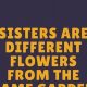 Embrace: Sisters - Different Flowers, Same Garden (Family) | The Ultimate Gardening Guide: Grow a Thriving Garden Year-Round