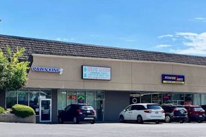 Explore Spring Garden Beauty in Auburn, NY! | The Ultimate Gardening Guide: Grow a Thriving Garden Year-Round