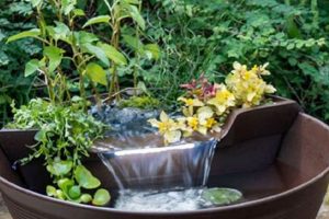 Easy Water Garden Kit Ideas: Create Your Backyard Oasis! | The Ultimate Gardening Guide: Grow a Thriving Garden Year-Round
