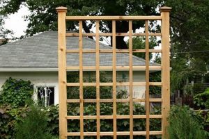 Buy Quality Wooden Garden Trellis | [Your Brand] | The Ultimate Gardening Guide: Grow a Thriving Garden Year-Round