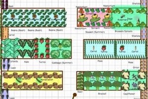 AI Garden: 8x4 Vegetable Garden Layout Made Easy | The Ultimate Gardening Guide: Grow a Thriving Garden Year-Round
