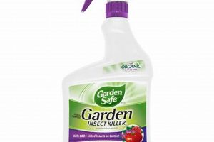 Best Garden Safe Insect Killer for Your Beautiful Garden | The Ultimate Gardening Guide: Grow a Thriving Garden Year-Round