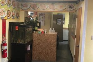 Discover Star Garden Northumberland: A Stargazing Haven | The Ultimate Gardening Guide: Grow a Thriving Garden Year-Round