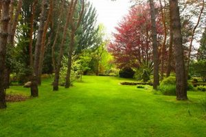 Visit Schoepfle Garden: A Botanical Oasis in Ohio The Ultimate Gardening Guide: Grow a Thriving Garden Year-Round Visit Schoepfle Garden: A Botanical Oasis in Ohio | The Ultimate Gardening Guide: Grow a Thriving Garden Year-Round