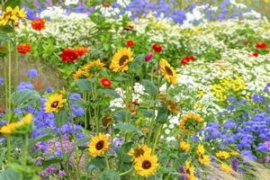 Grow the Best Cutting Garden Flowers for Stunning Bouquets The Ultimate Gardening Guide: Grow a Thriving Garden Year-Round Grow the Best Cutting Garden Flowers for Stunning Bouquets | The Ultimate Gardening Guide: Grow a Thriving Garden Year-Round