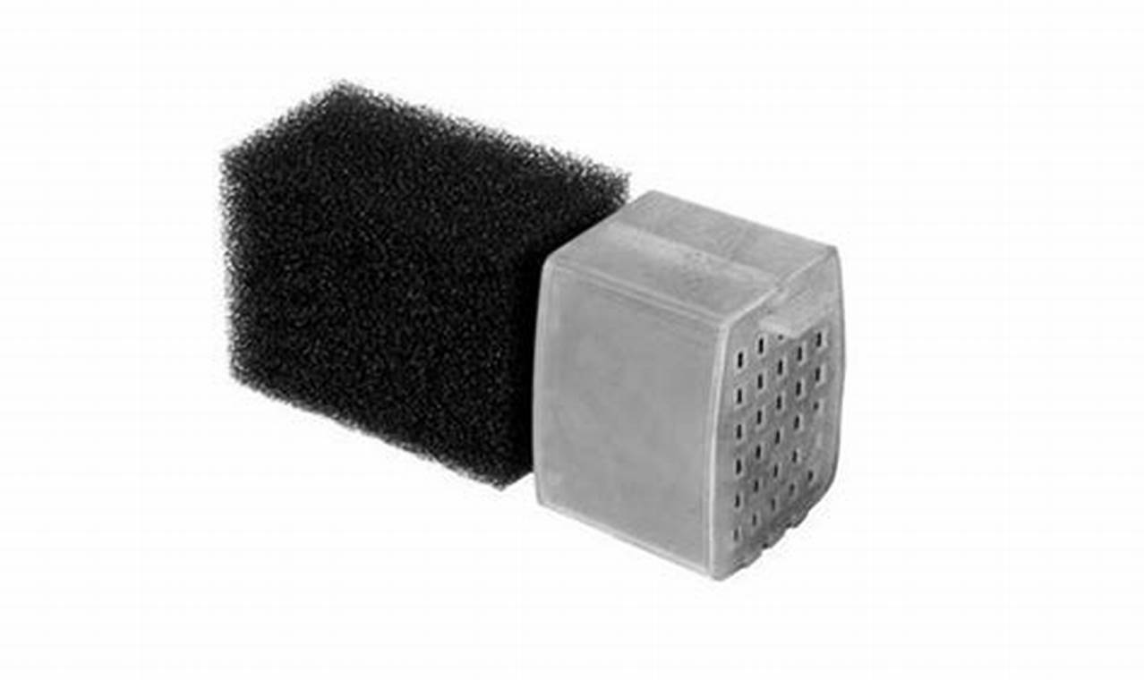 Easy Aquascape Garden: Filter Kit Replacement for Clear Water! | The Ultimate Gardening Guide: Grow a Thriving Garden Year-Round