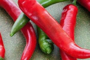 Grow Your Own: Garden Salsa Hot Pepper Perfection! | The Ultimate Gardening Guide: Grow a Thriving Garden Year-Round