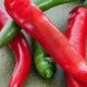 Grow Your Own: Garden Salsa Hot Pepper Perfection! | The Ultimate Gardening Guide: Grow a Thriving Garden Year-Round