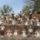 Discover: Rock Garden Chandigarh's Art & Wonders | The Ultimate Gardening Guide: Grow a Thriving Garden Year-Round
