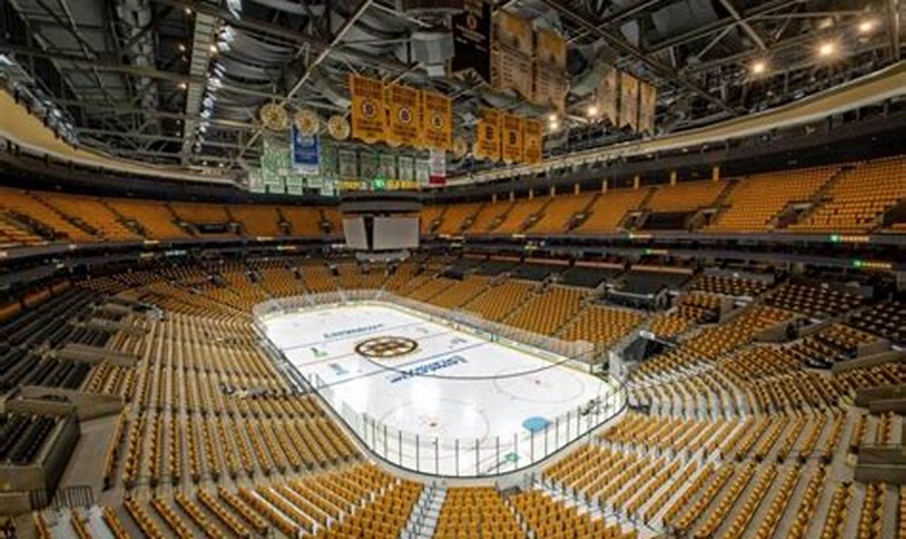 Explore TD Garden: Boston Tours & More! | The Ultimate Gardening Guide: Grow a Thriving Garden Year-Round
