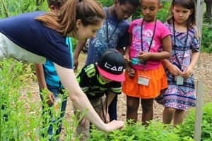 Grow With Washington Youth Garden: Tips &amp; More | The Ultimate Gardening Guide: Grow a Thriving Garden Year-Round
