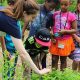 Grow With Washington Youth Garden: Tips &amp; More | The Ultimate Gardening Guide: Grow a Thriving Garden Year-Round