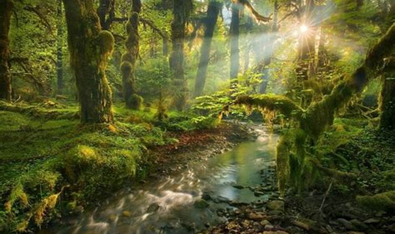 Create Your Spirit Garden Oasis: Design & Tips | The Ultimate Gardening Guide: Grow a Thriving Garden Year-Round