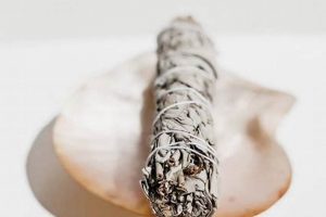 Buy Garden Sage Smudge Sticks Online: Benefits & Uses | The Ultimate Gardening Guide: Grow a Thriving Garden Year-Round