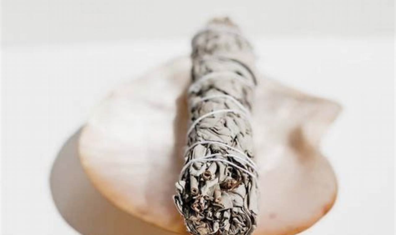 Buy Garden Sage Smudge Sticks Online: Benefits & Uses | The Ultimate Gardening Guide: Grow a Thriving Garden Year-Round