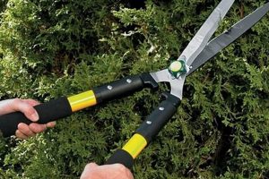 Best Garden Shears for Hedges: Trim Like a Pro! | The Ultimate Gardening Guide: Grow a Thriving Garden Year-Round