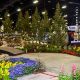 Your Guide to the Colorado Garden & Home Show - Tips & More! | The Ultimate Gardening Guide: Grow a Thriving Garden Year-Round