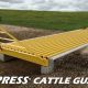 Best Cattle Guards: Protect Your Garden & Livestock | The Ultimate Gardening Guide: Grow a Thriving Garden Year-Round