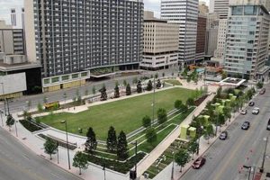 Explore Main Street Garden Dallas: A Downtown Oasis | The Ultimate Gardening Guide: Grow a Thriving Garden Year-Round