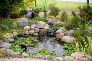 Easy Garden Pond Kit: Your Backyard Oasis Awaits! | The Ultimate Gardening Guide: Grow a Thriving Garden Year-Round