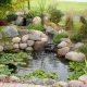 Easy Garden Pond Kit: Your Backyard Oasis Awaits! | The Ultimate Gardening Guide: Grow a Thriving Garden Year-Round