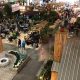 Your Fargo Home & Garden Show Guide: Dates, Vendors & More | The Ultimate Gardening Guide: Grow a Thriving Garden Year-Round